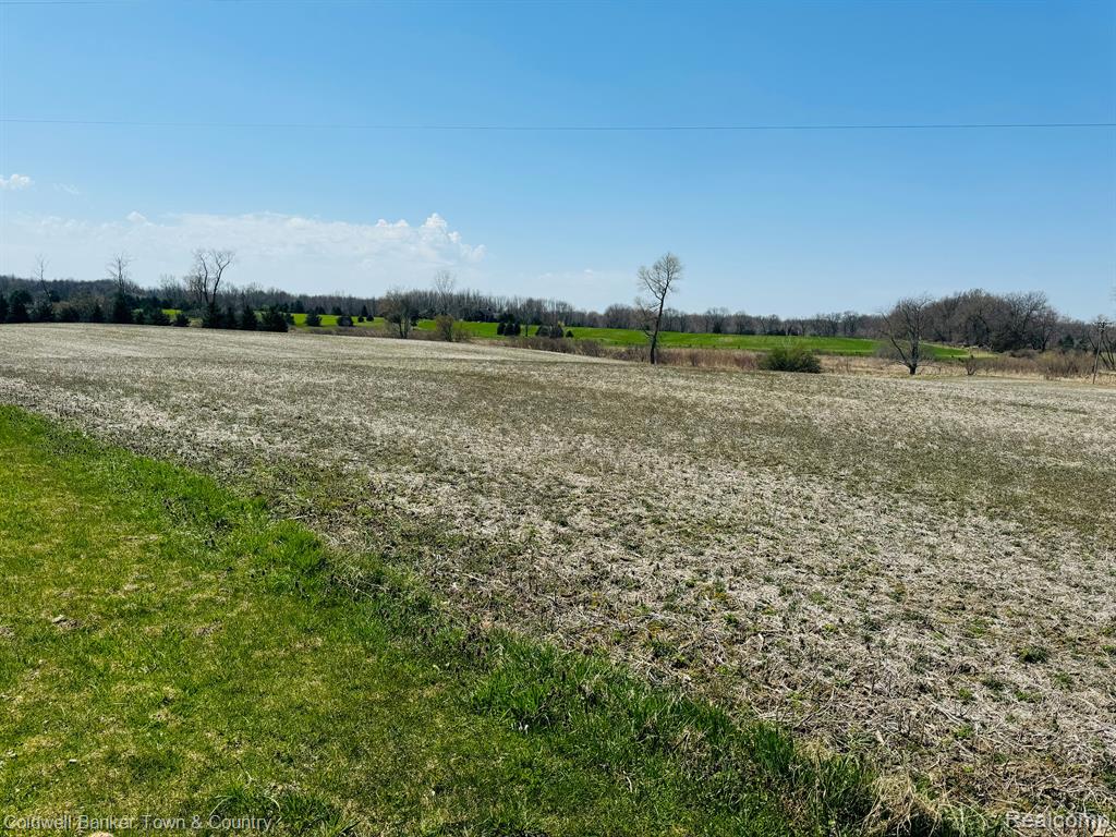 Maxwell South Hayner Road Fowlerville, MI 48836 - Photo 2 of 4