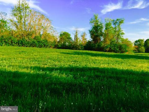 Thornton Road Boyce, VA 22620 - Photo 1 of 7 Exterior (General)
