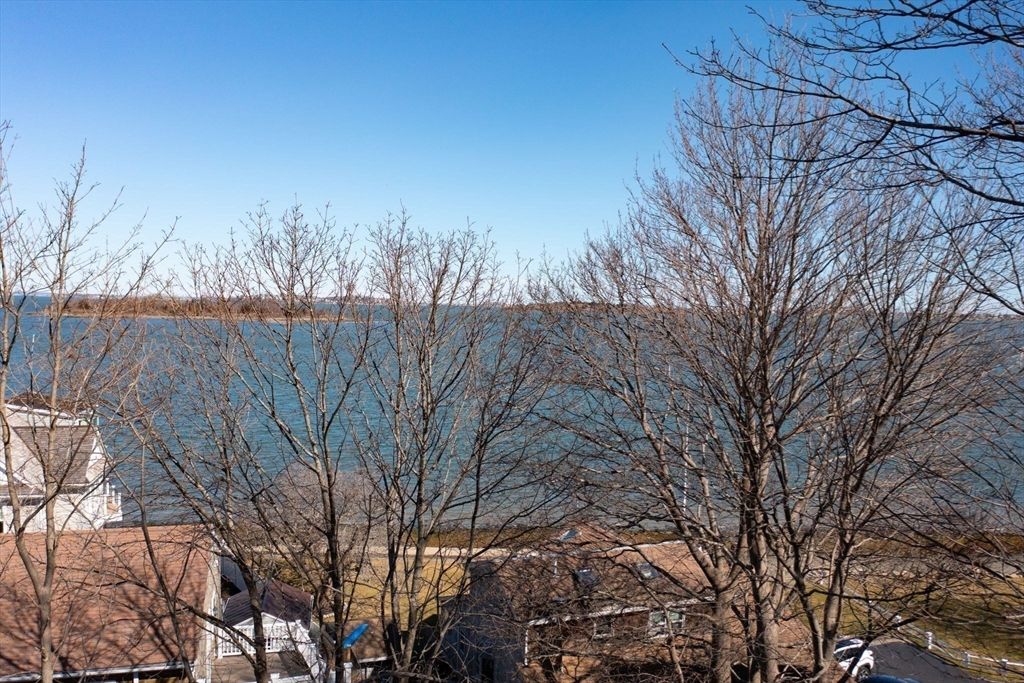 81 Kimball Beach Road Hingham, MA 02043 - Photo 23 of 29 a view of a dry yard with trees