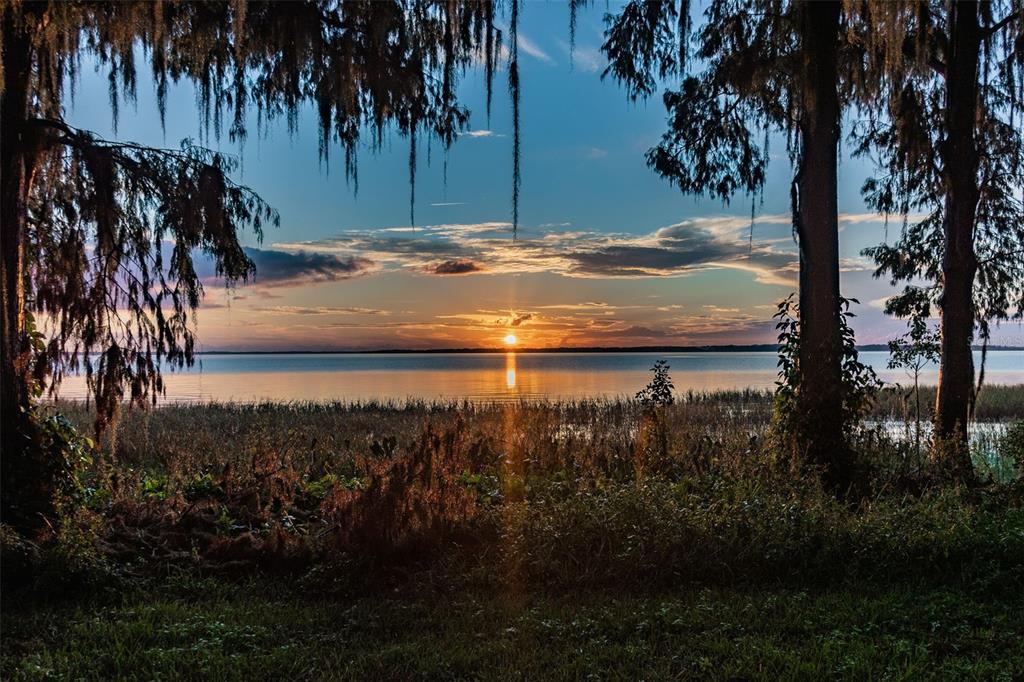 11303 Dead River Road Tavares, FL 32778 - Photo 1 of 1 Gallery Image 1