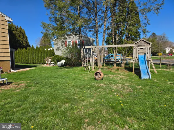 a view of a field with a tree