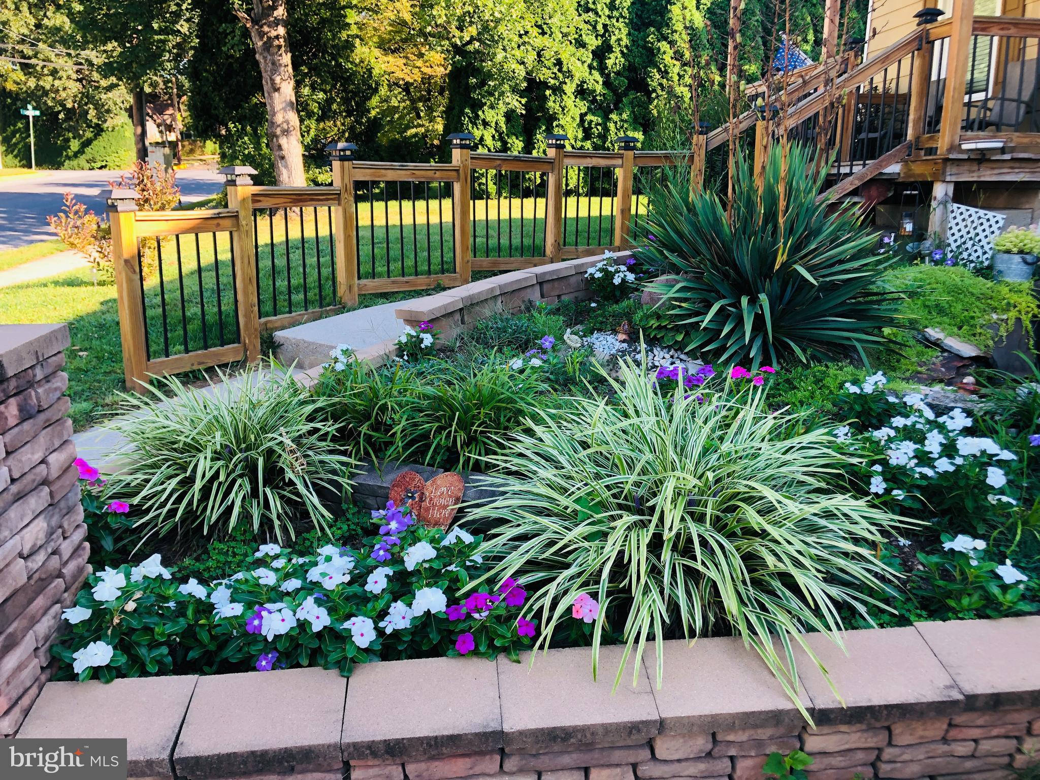 502 South 3rd Avenue Lebanon, PA 17042 - Photo 5 of 27 a view of a palm tree with flower garden