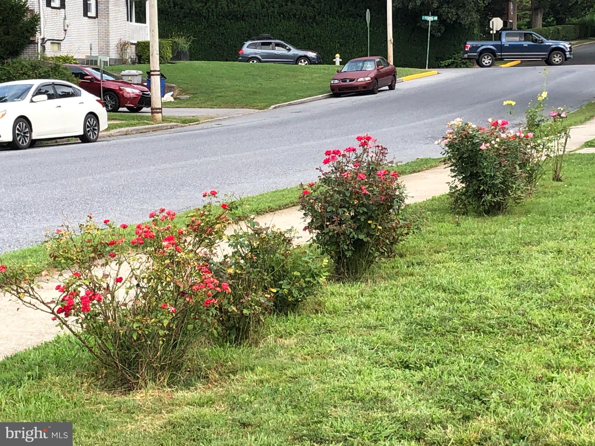 502 South 3rd Avenue Lebanon, PA 17042 - Photo 6 of 27 a cars parked in front of a house with a yard