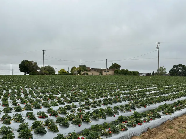 $11,000,000 | 581 San Juan Grade Road, Salinas, CA 93906