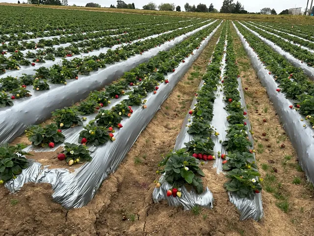 a backyard of a house with a yard and outdoor seating