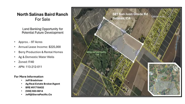 a view of a grassy field with an trees