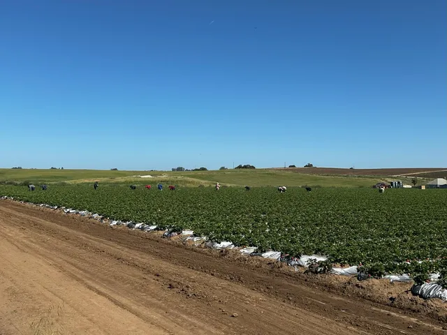 a view of a tennis court