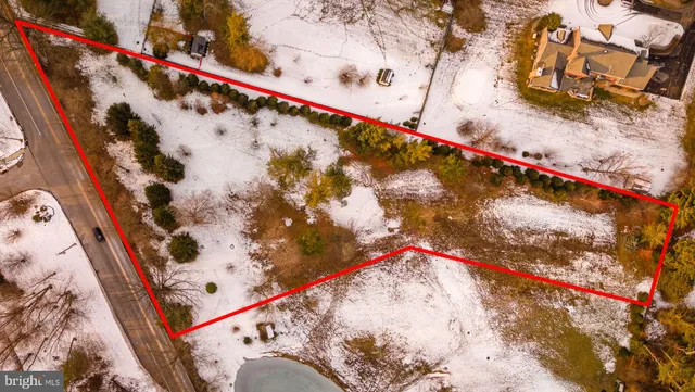 a view of a lots of trees