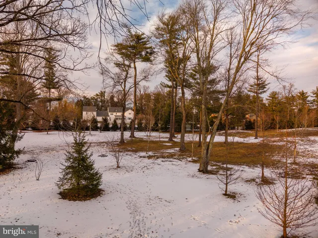 a view of a yard with trees
