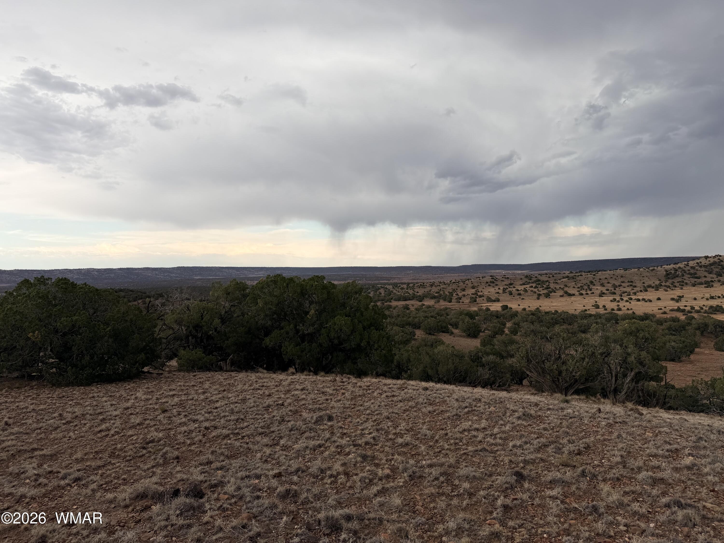 2 N8604 Concho, AZ 85924 - Photo 6 of 24