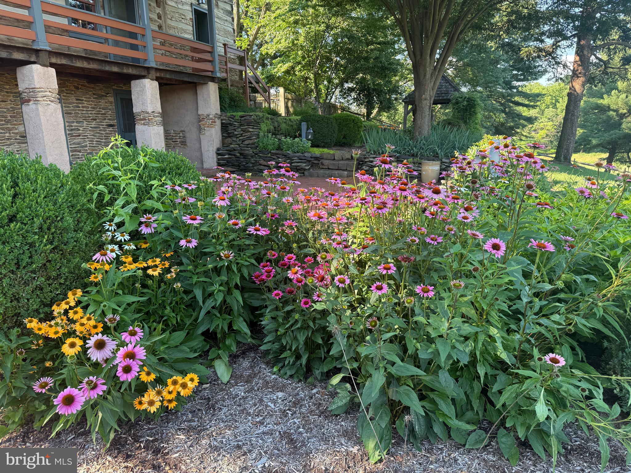 3646 Meadow View Road Manheim, PA 17545 - Photo 5 of 56 a view of a house with a lot of flower and flowers