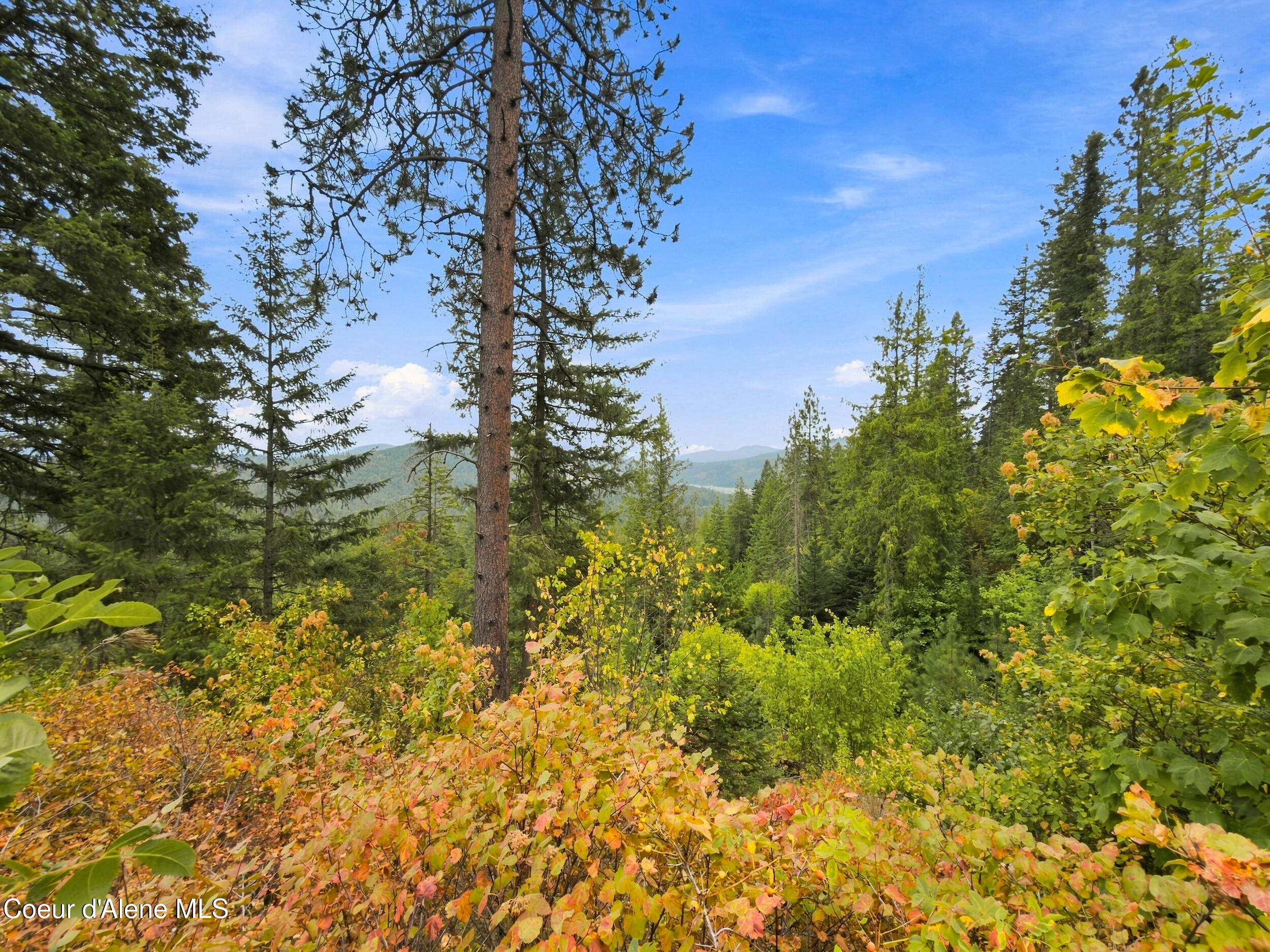Nka Carr Creek Road Sandpoint, ID 83864 - Photo 29 of 34 26_carrcreek_021