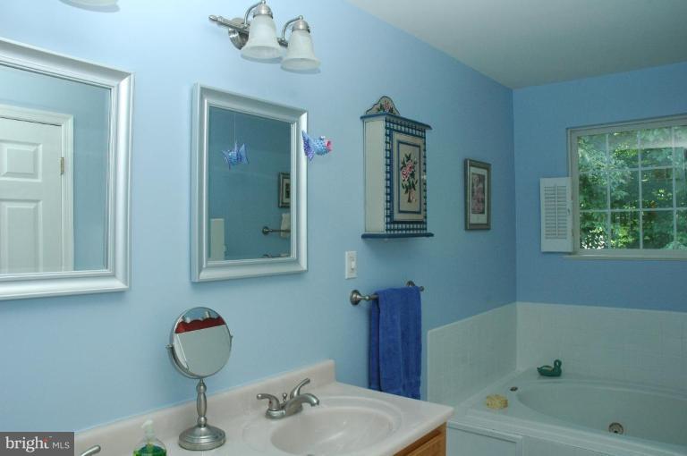 8303 Southstream Run Springfield, VA 22153 - Photo 25 of 30 Master Bath