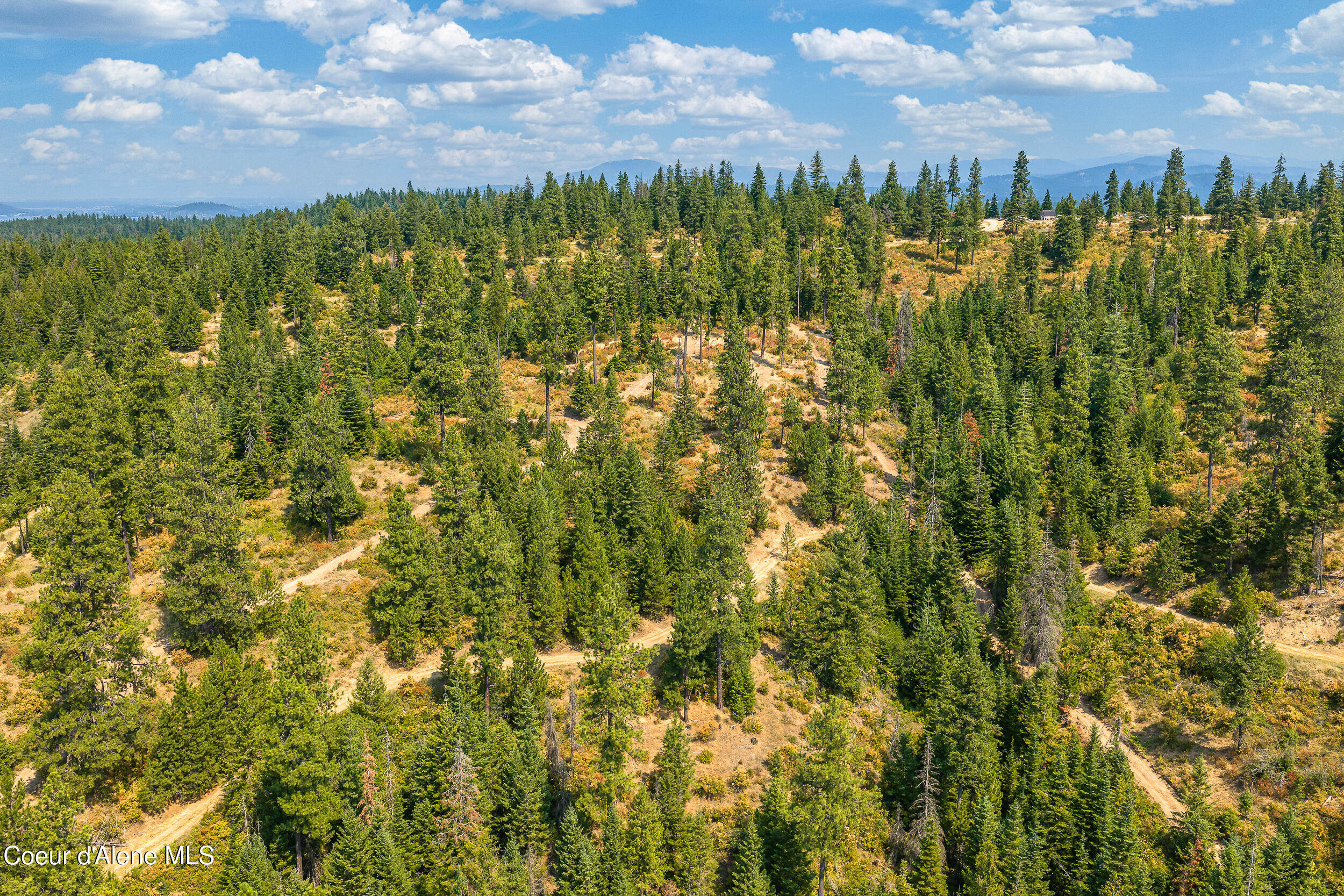 5100 East Burma Road Harrison, ID 83833 - Photo 11 of 38 34-E Burma Rd 34