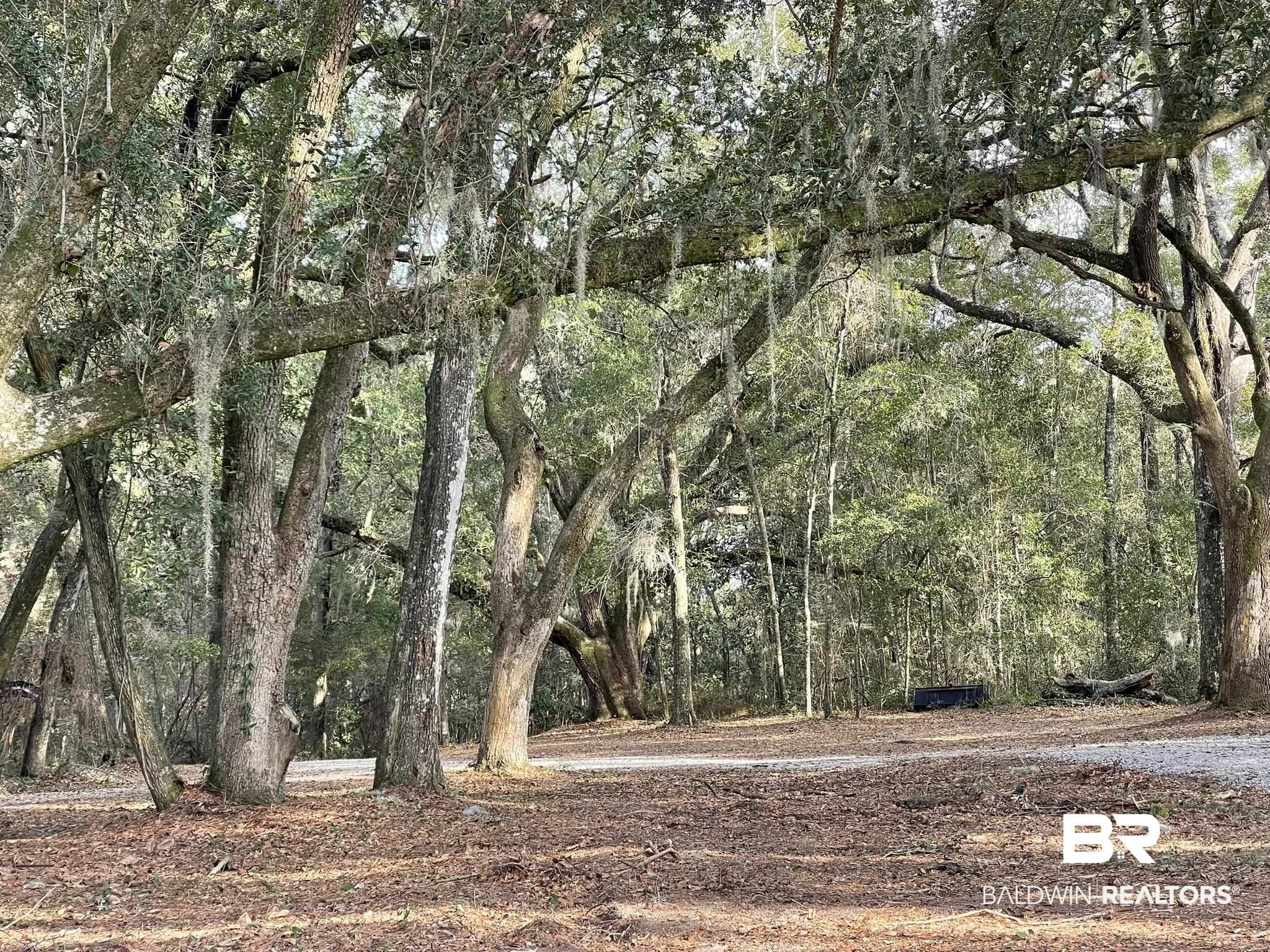 6621 Purvis Road Daphne, AL 36527 - Photo 3 of 59 View of woods