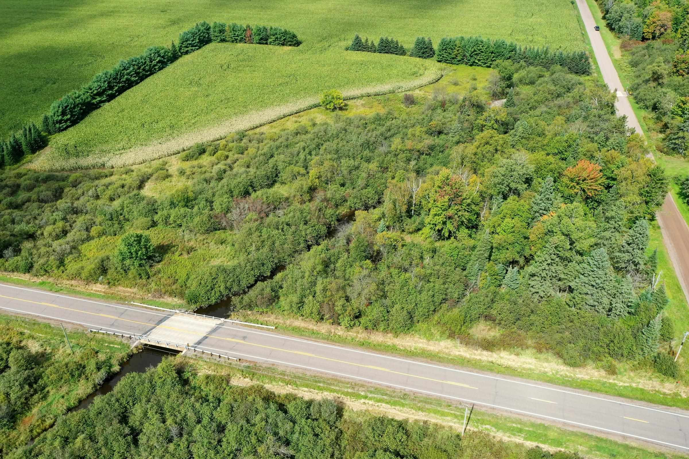 N5239 Lemke Creek Road Rib Lake, WI 54470 - Photo 10 of 12 Gallery Image 10