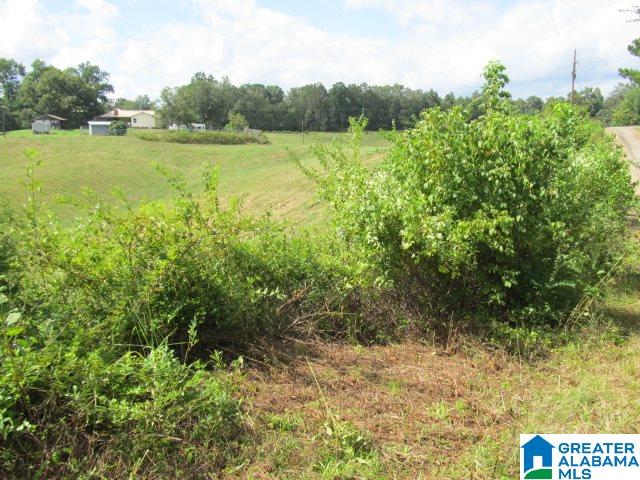 79 Highway 79, Unit 33 Cleveland, AL 35049 - Photo 29 of 32