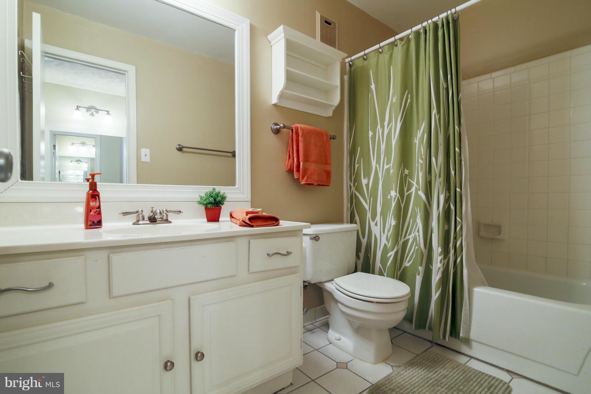 10153 Oakton Terrace Road, Unit 10153 Oakton, VA 22124 - Photo 14 of 23 Bath (Master)