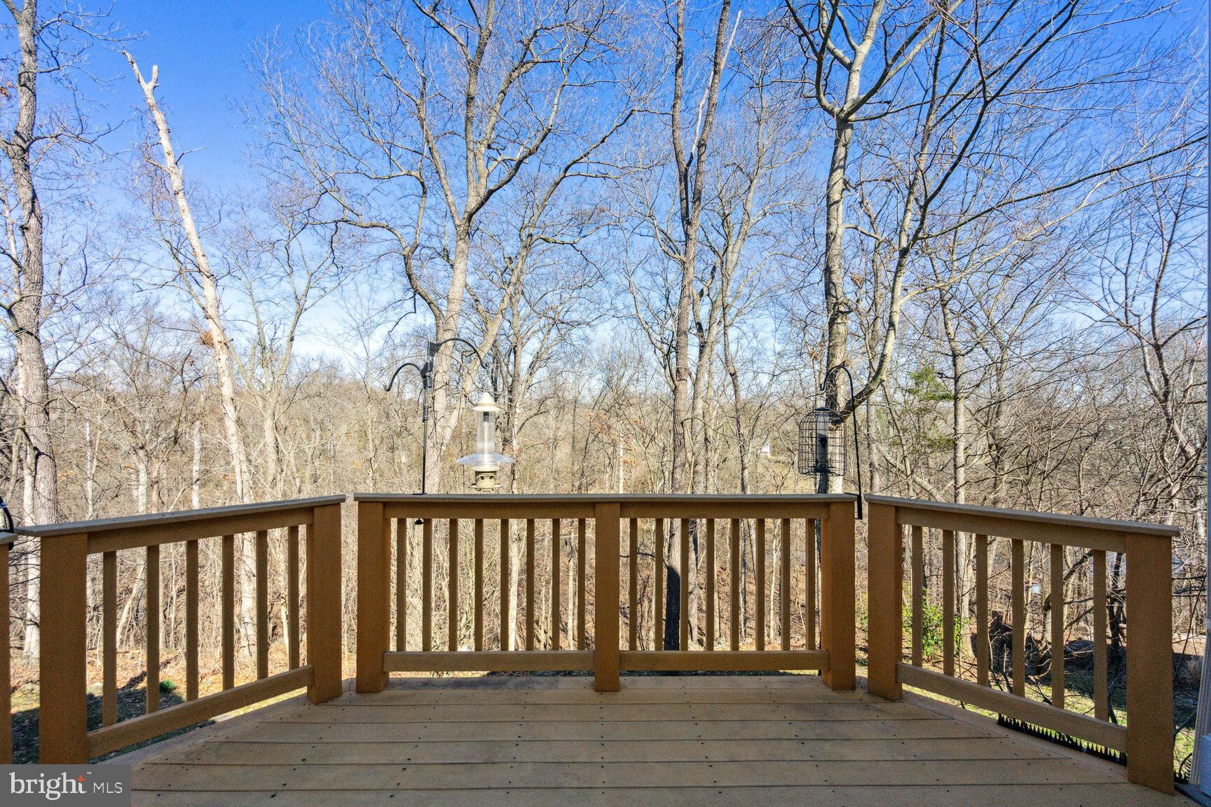 12036 Rutherglen Place Bristow, VA 20136 - Photo 32 of 39 The back yard overlooks Broad Run