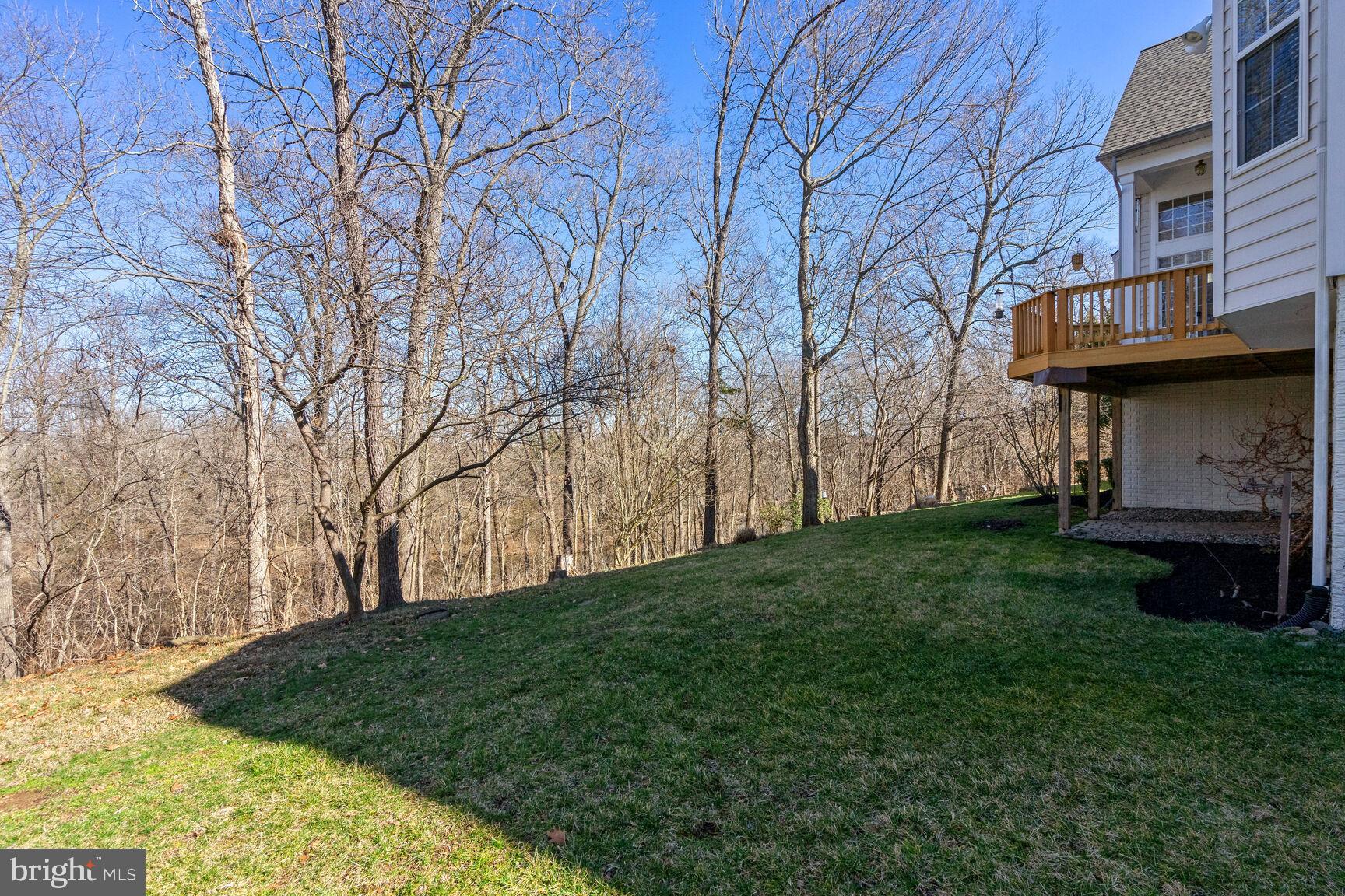 12036 Rutherglen Place Bristow, VA 20136 - Photo 33 of 39 Enjoy the privacy of trees in the back (.28 acres)