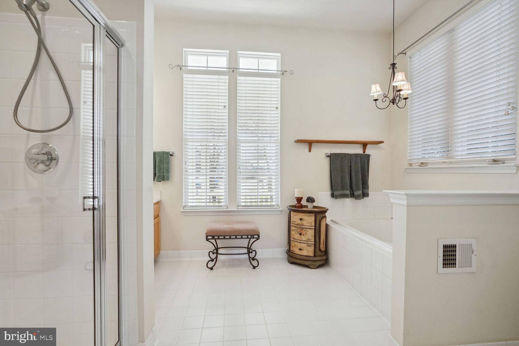 12036 Rutherglen Place Bristow, VA 20136 - Photo 10 of 39 Primary bath has shower with bench & dual vanity