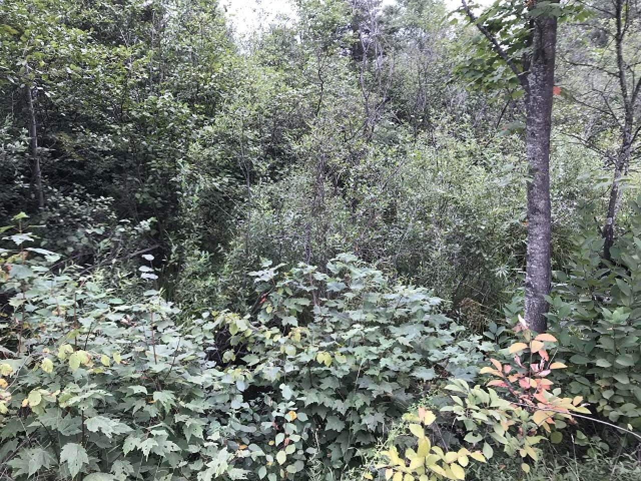 Lot 36 Nathan Pass Mercer, WI 54547 - Photo 2 of 71 Gallery Image 2