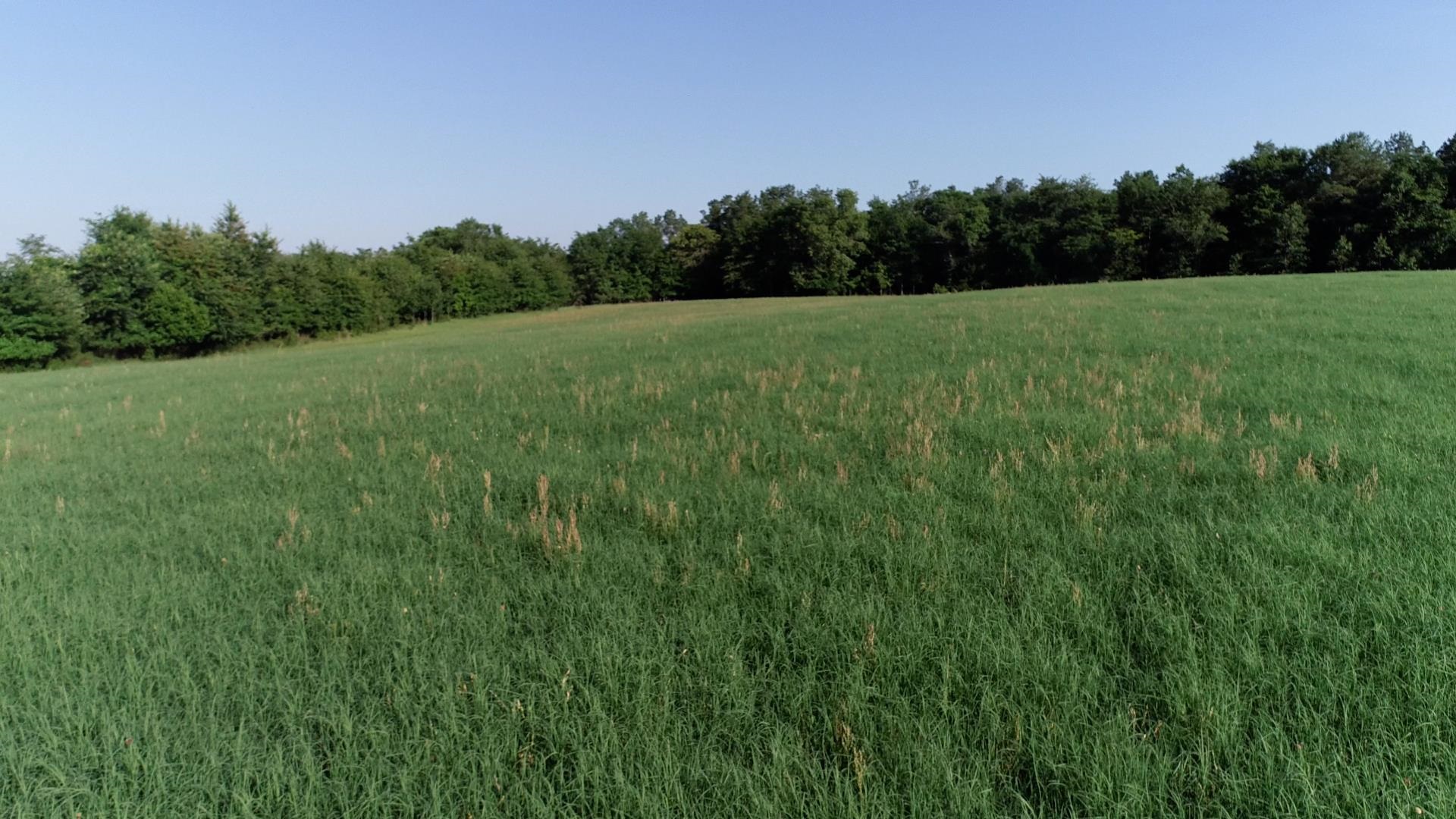 2631 Charlie Johnson Road Bethune, SC 29009 - Photo 2 of 29