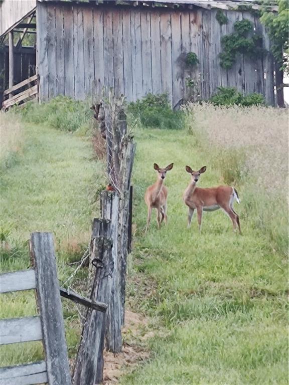 195 West W Railroad Road Sycamore, PA 15364 - Photo 15 of 50 a backyard of a house with table and chairs