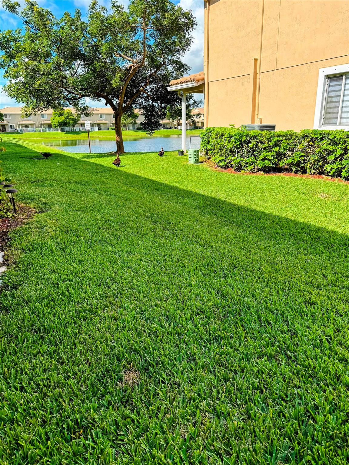 5963 Abbey Road Tamarac, FL 33321 - Photo 19 of 19 a view of a park with a tree in the grass