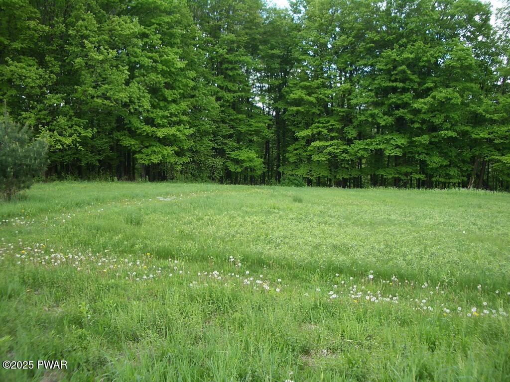 4 Avoy Heights Road Lake Ariel, PA 18436 - Photo 6 of 9
