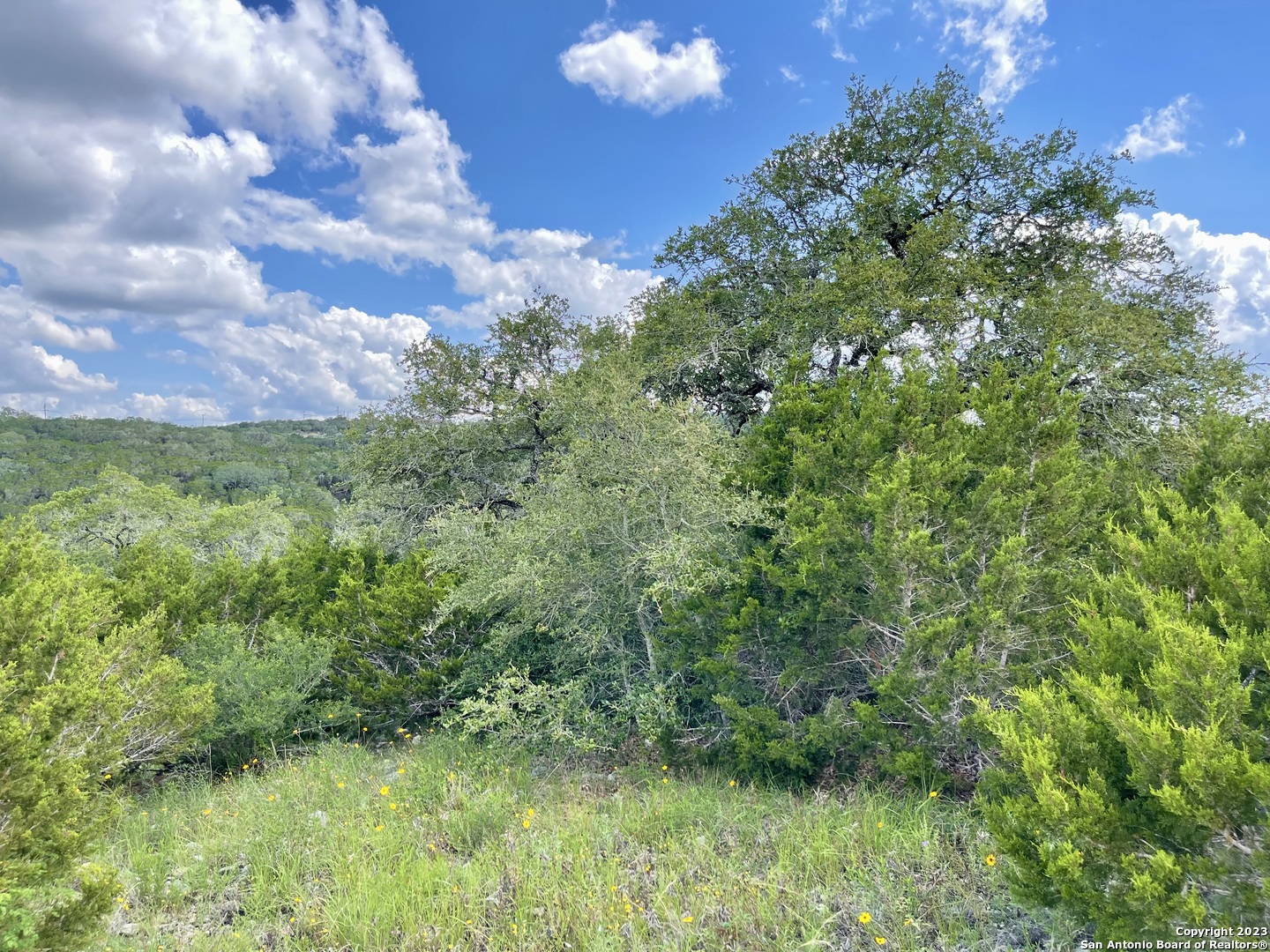 Lot 438 County Rd 2763 Mico, TX 78056 - Photo 9 of 14