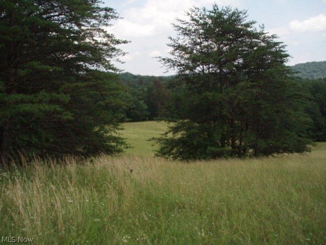 12258 Gillespie Run Road Petroleum, WV 26161 - Photo 10 of 18