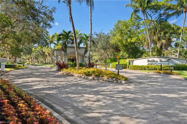 a view of a park with large trees
