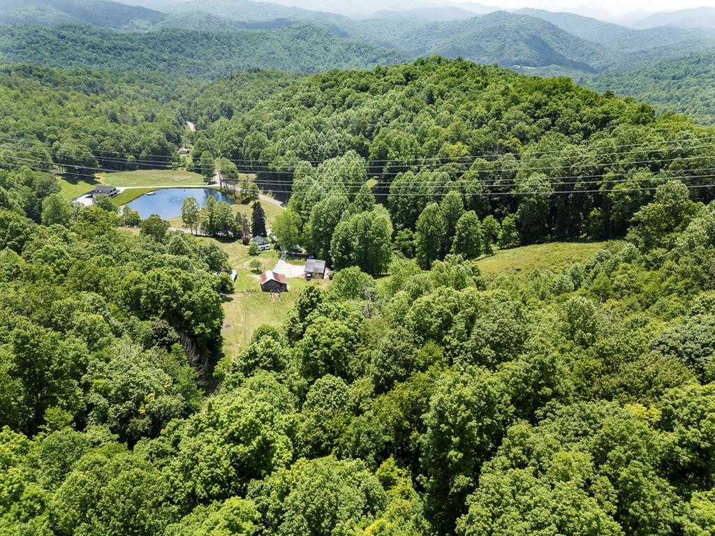 1651 Winding Stairs Road Topton, NC 28781 - Photo 56 of 100