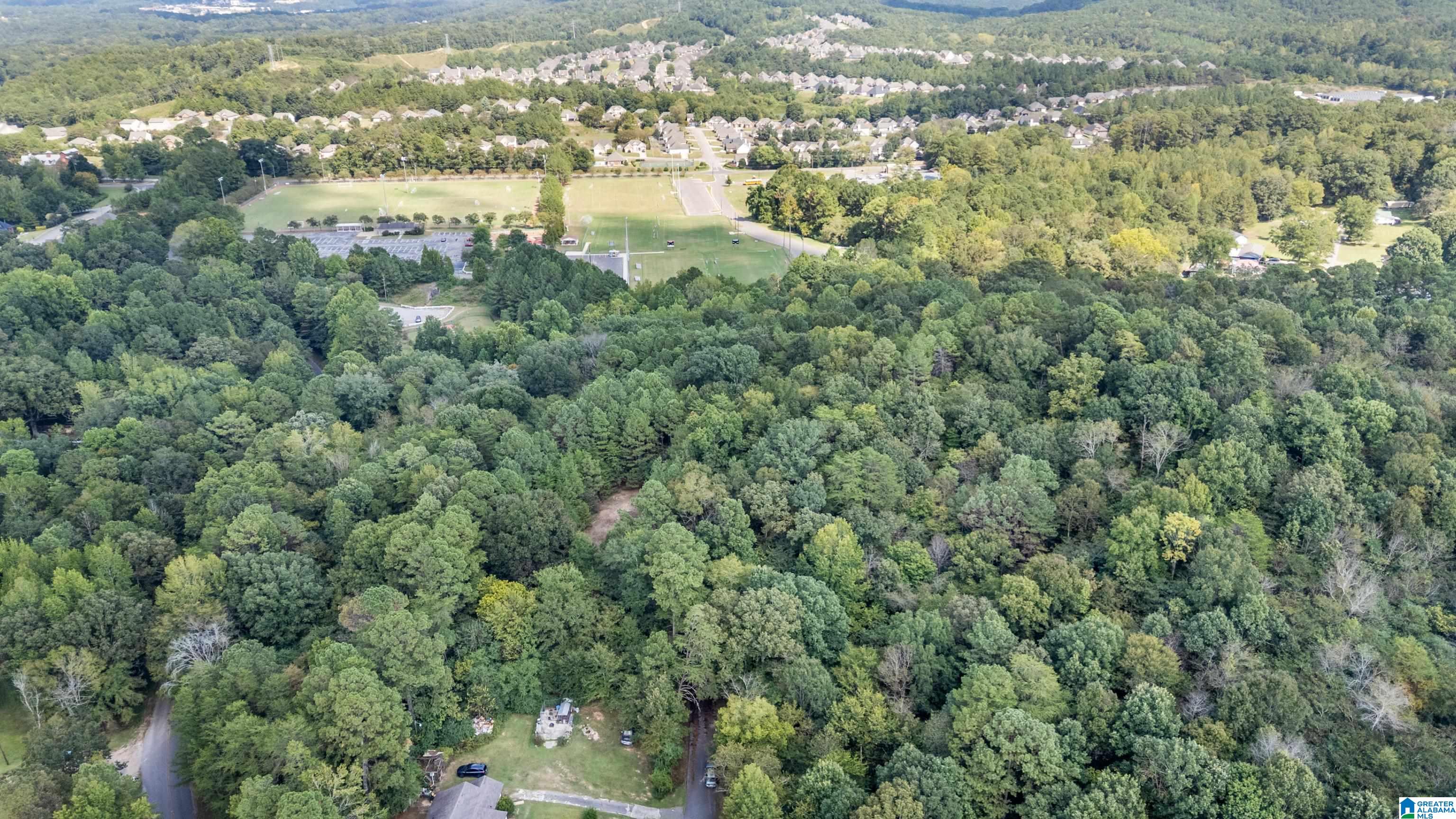 4339 Pine Ridge Road, Unit 1 Mount Olive, AL 35117 - Photo 2 of 34