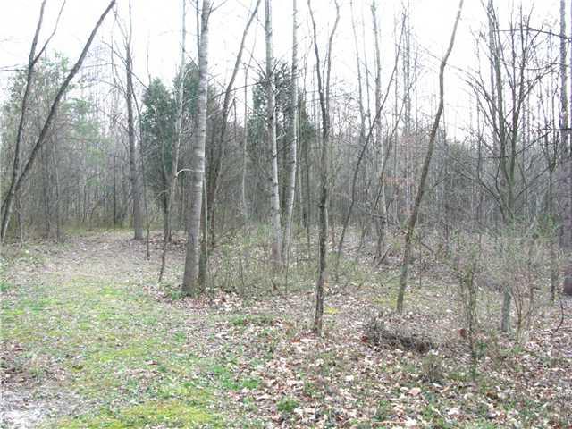 6031 North Stinson Road Morgantown, IN 46160 - Photo 3 of 6 Gallery Image 3