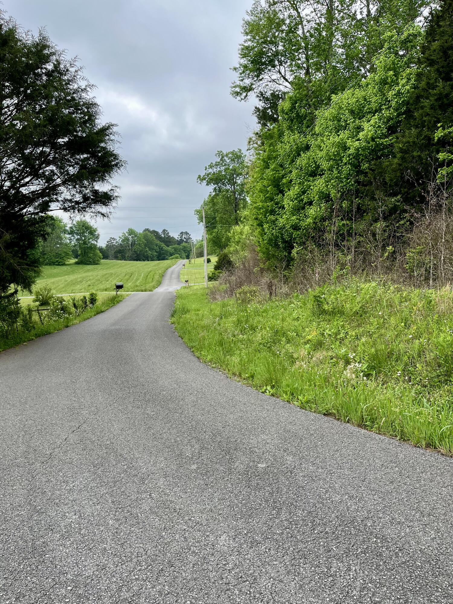 Lot 1 Jack Smith Road Dunlap, TN 37327 - Photo 1 of 4 lot 1d