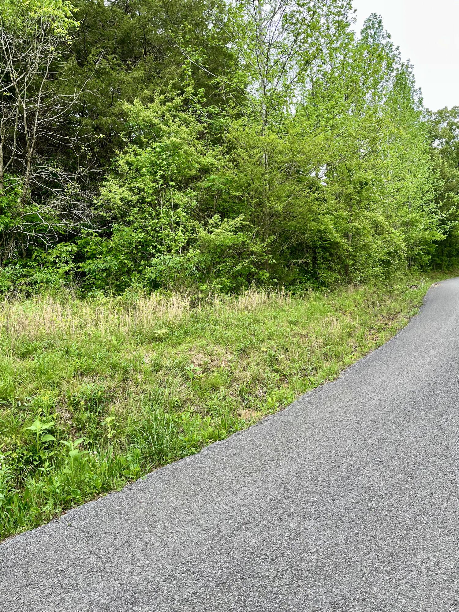 Lot 1 Jack Smith Road Dunlap, TN 37327 - Photo 3 of 4 lot 1b