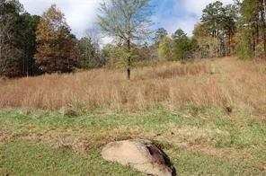 $80,000 | 1200 Roy Brown Road, Buchanan, GA 30113