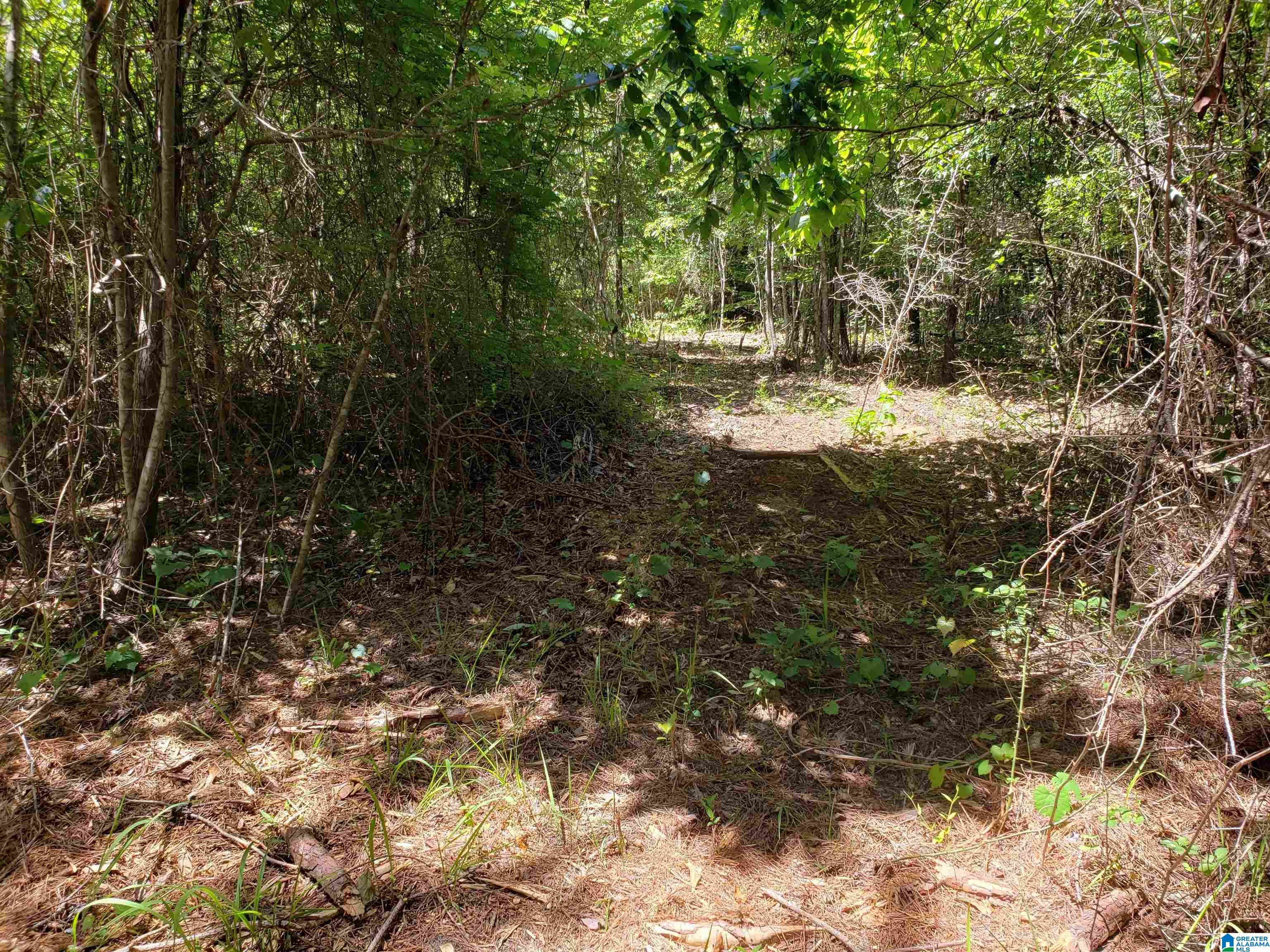 0 Clements Road, Unit 1 Cottondale, AL 35453 - Photo 8 of 16