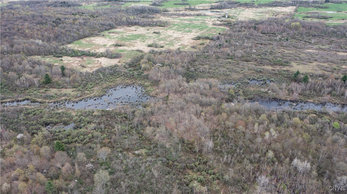 101 Brayton Road De Kalb, NY 13630 - Photo 13 of 37