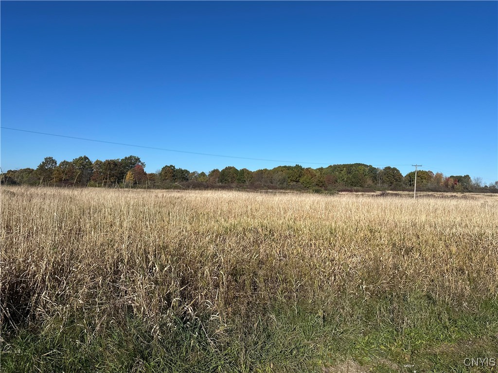 101 Brayton Road De Kalb, NY 13630 - Photo 37 of 37