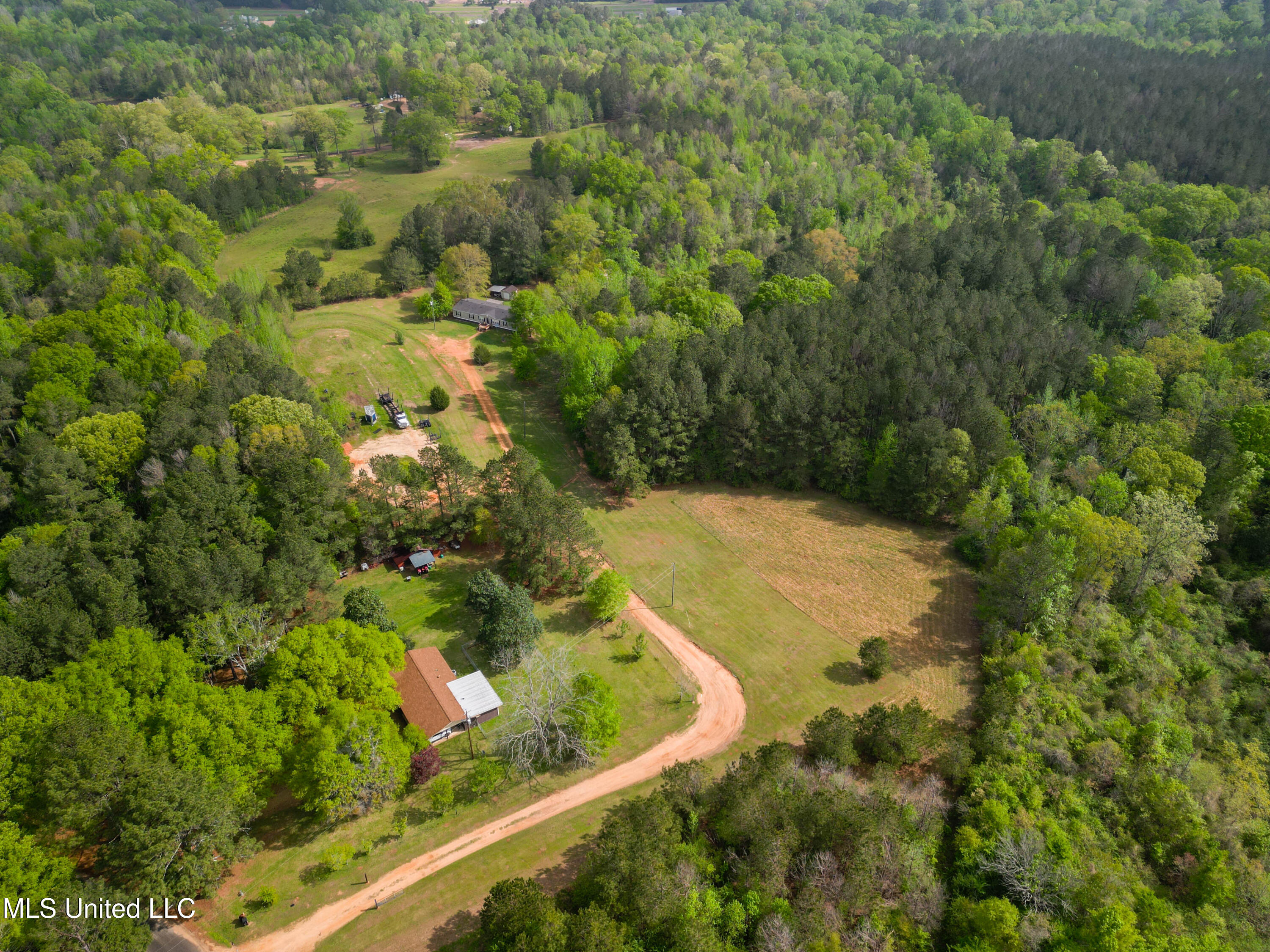 142 Pea Patch Drive Mendenhall, MS 39114 - Photo 13 of 37 142 Pea Patch Dr Mendenhall-7