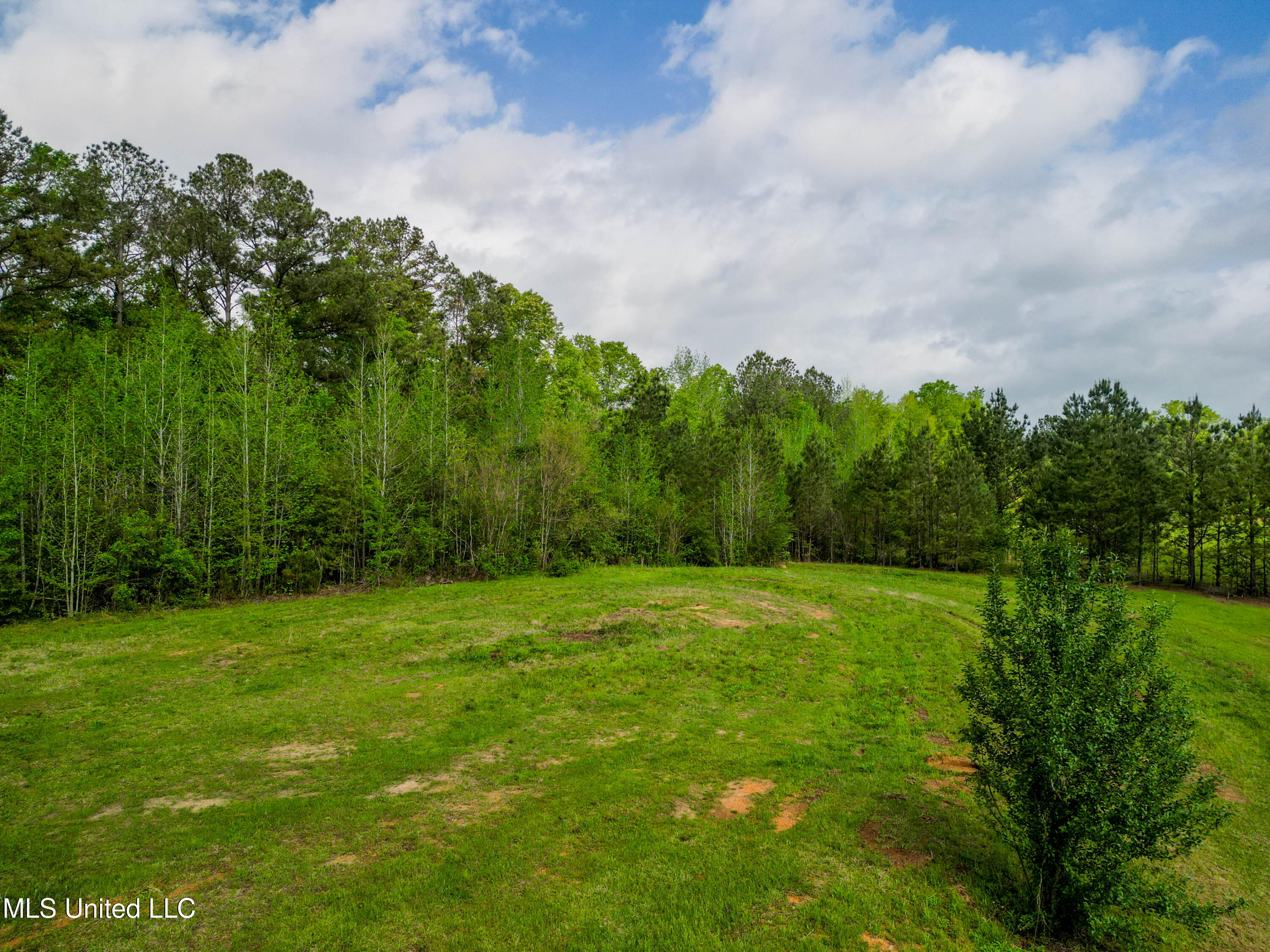 142 Pea Patch Drive Mendenhall, MS 39114 - Photo 18 of 37 142 Pea Patch Dr Mendenhall-1