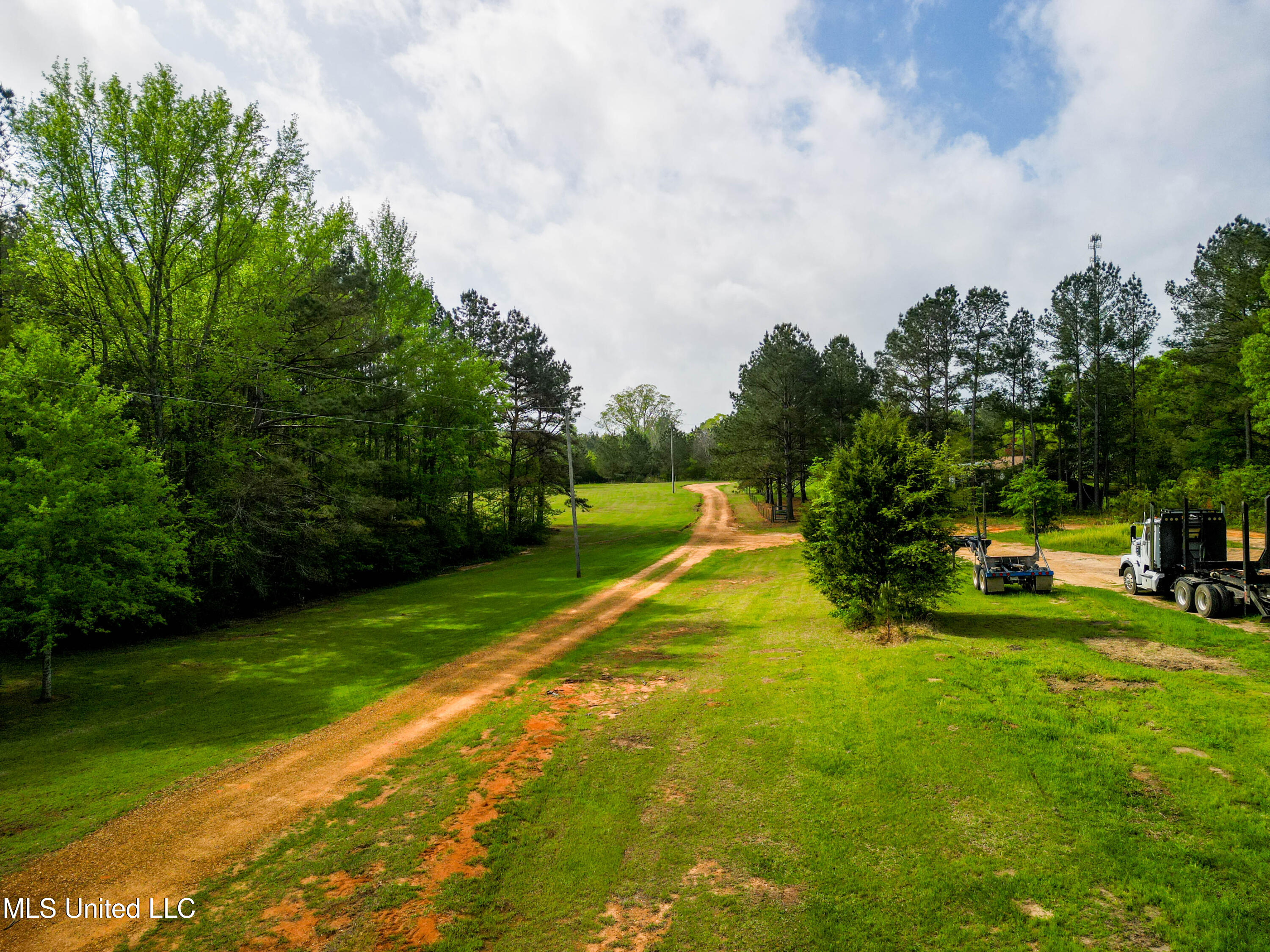 142 Pea Patch Drive Mendenhall, MS 39114 - Photo 19 of 37 142 Pea Patch Dr Mendenhall-3