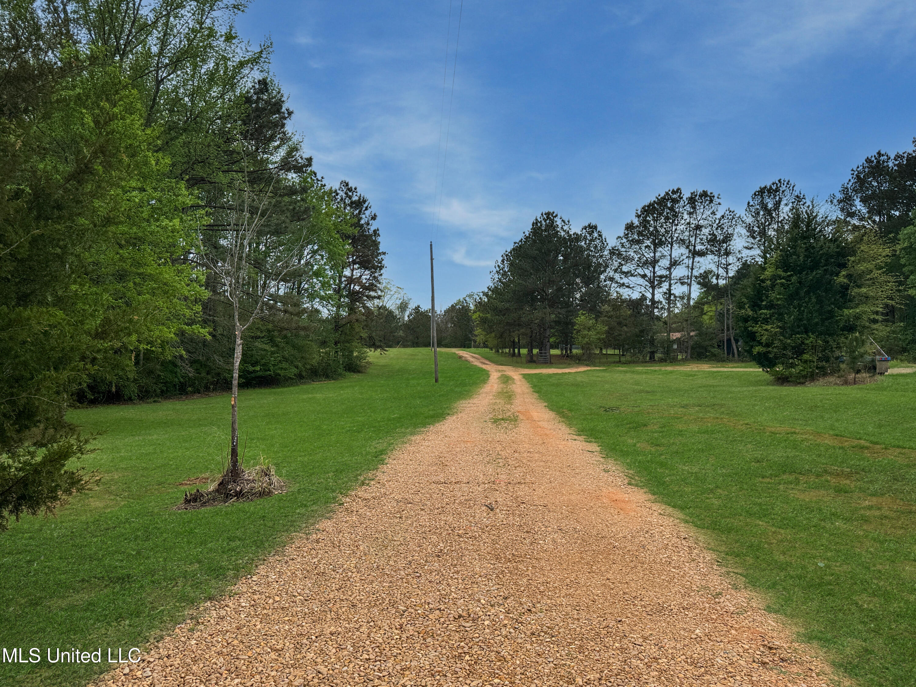 142 Pea Patch Drive Mendenhall, MS 39114 - Photo 9 of 37 ad11d259db7812fccb43c72f075b74b55ad6fa7e