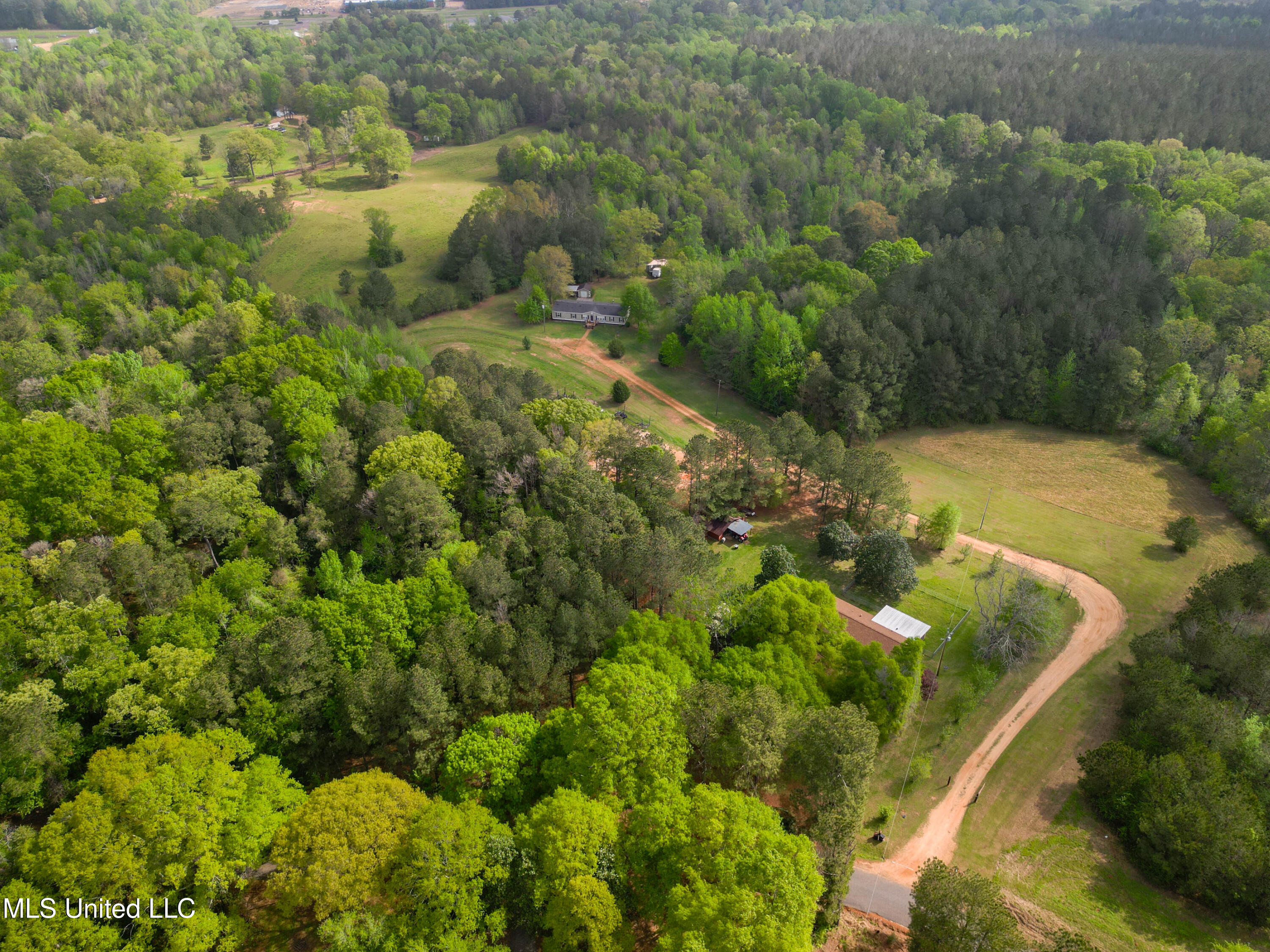 142 Pea Patch Drive Mendenhall, MS 39114 - Photo 10 of 37 142 Pea Patch Dr Mendenhall-5