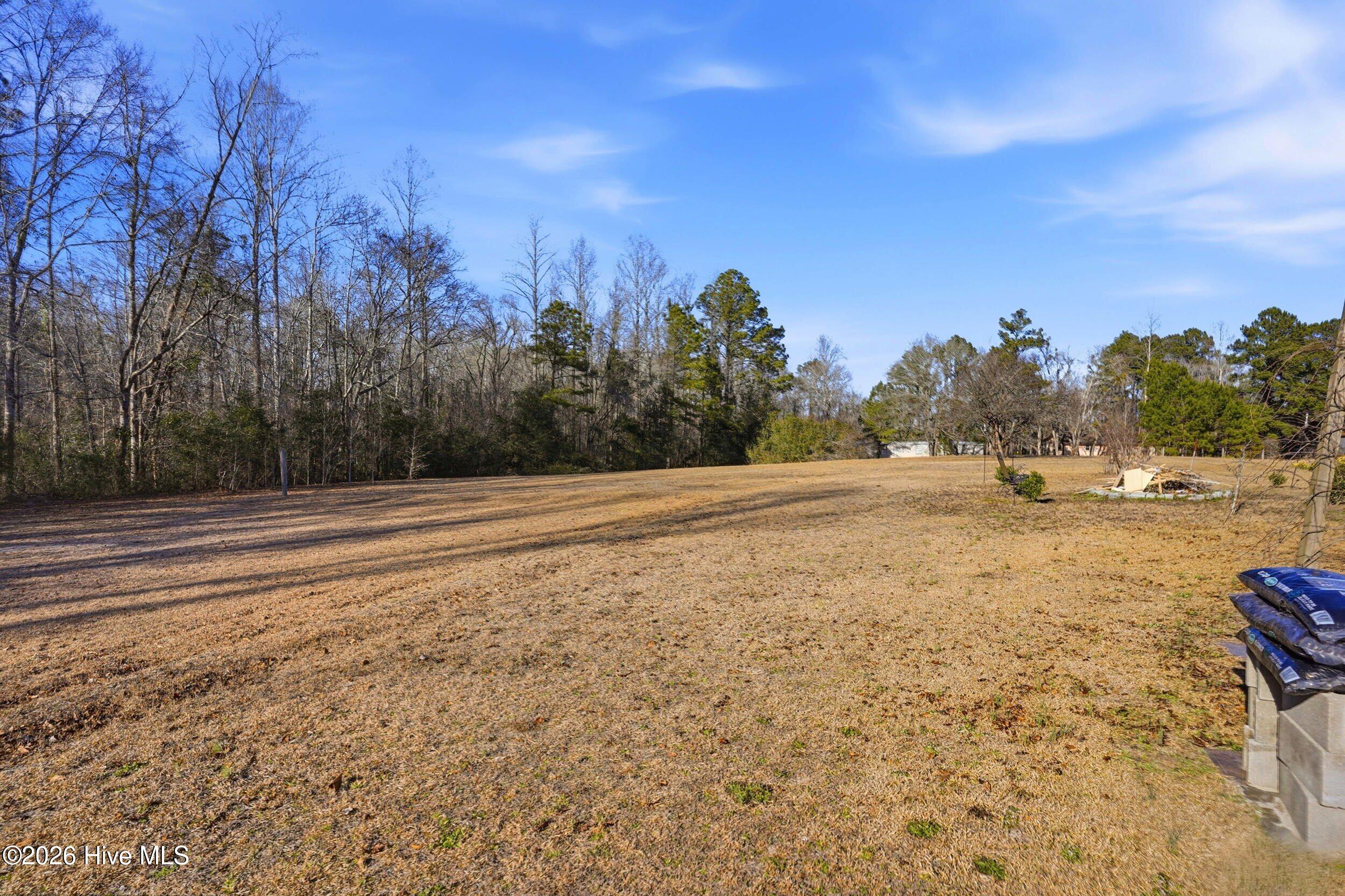 1075 Wandering Way Northeast Leland, NC 28451 - Photo 44 of 69 1075 Wandering Way-00045