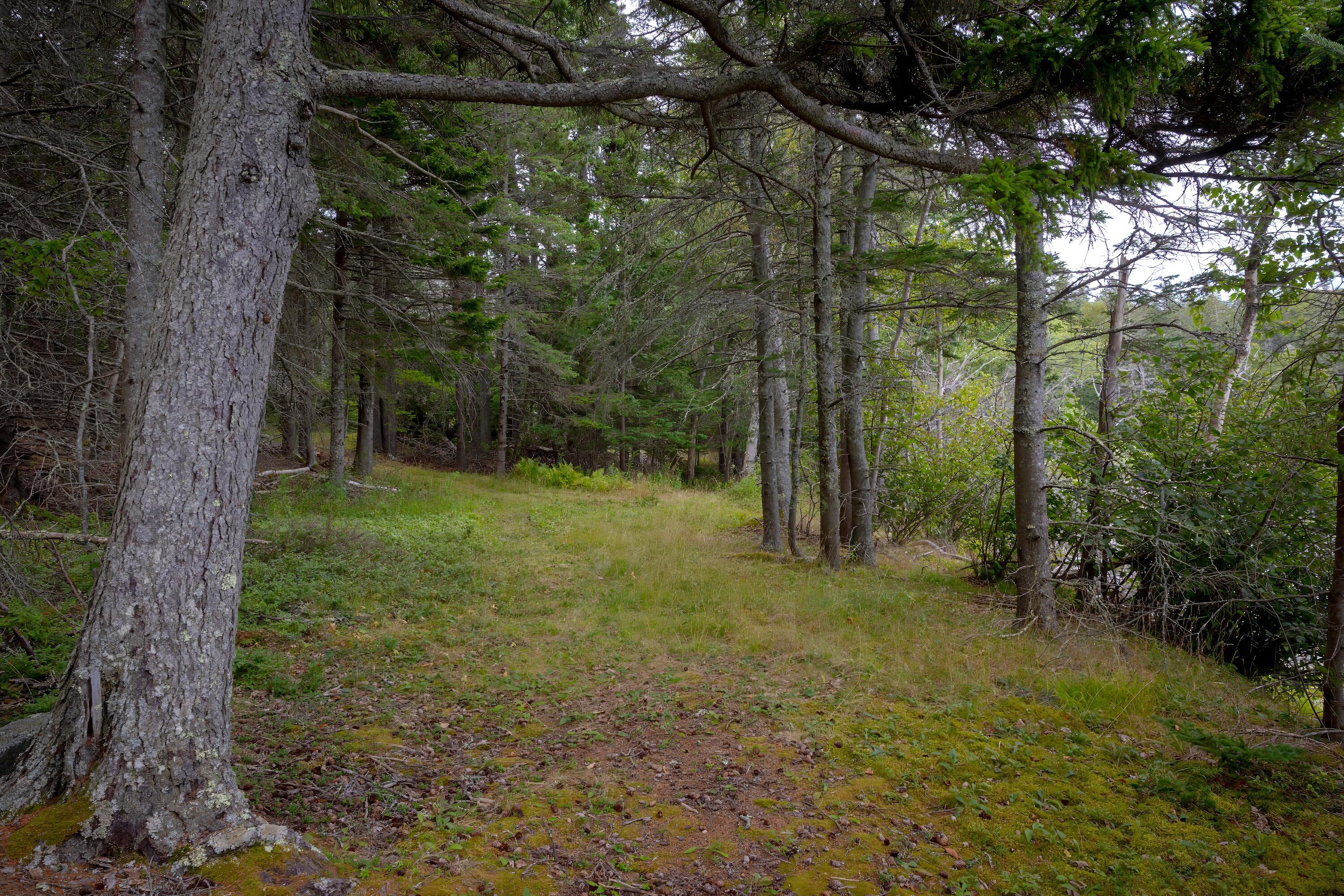 163 Back Road Brooklin, ME 04616 - Photo 132 of 132 164backroad - 159