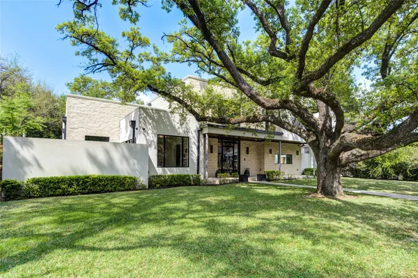 a view of a backyard with a large tree